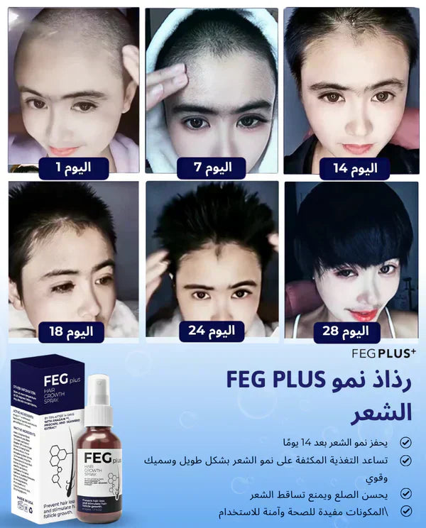 FEG Organic Hair Growth Treatment Oil ahmedmart