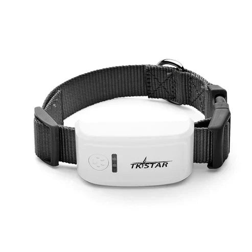 Cat GPS Tracker Locator Device for Pets ( UAE Delivery Time: 1-3 Days ) ahmedmart