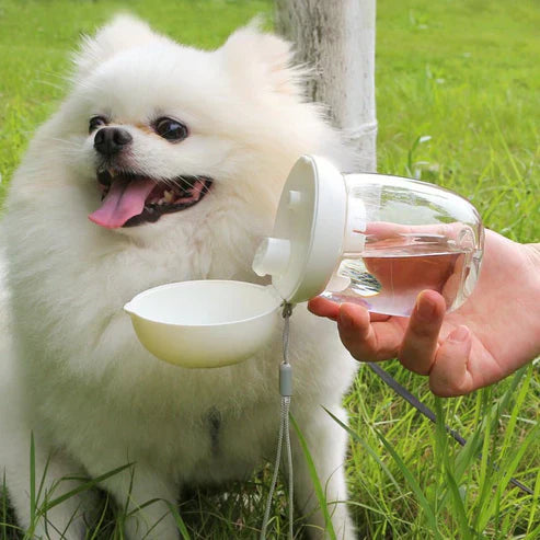 Foldable And Portable Pet Cat And Dog Outdoor Drinking Glass Pet Products ( UAE Delivery Time: 1-3 Days) ahmedmart