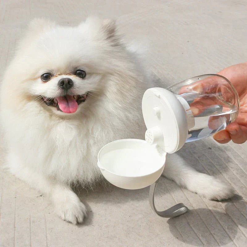 Foldable And Portable Pet Cat And Dog Outdoor Drinking Glass Pet Products ( UAE Delivery Time: 1-3 Days) ahmedmart