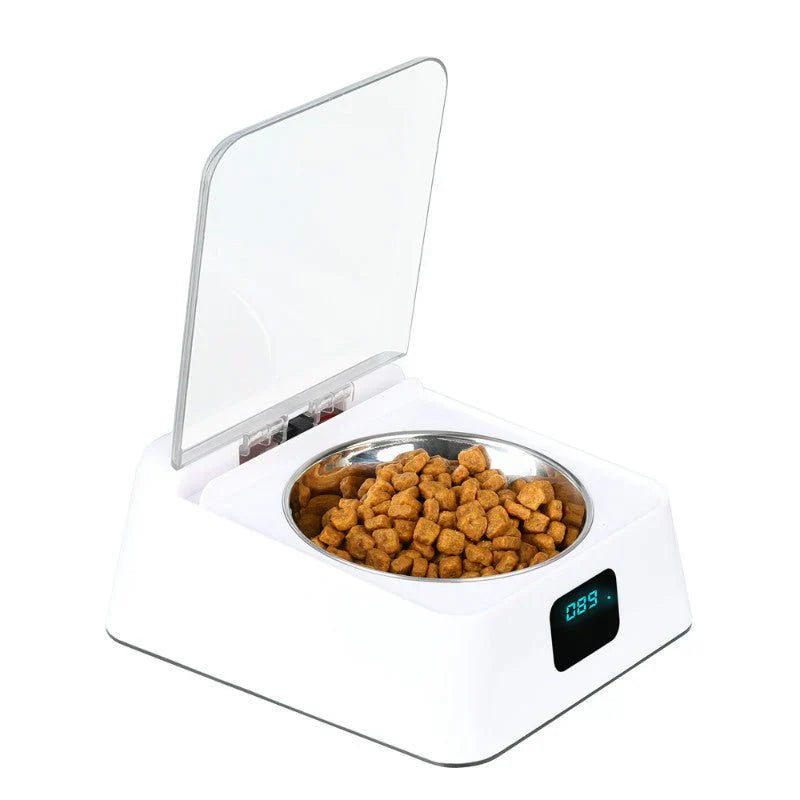 Pet Automatic Feeder ( UAE Delivery Time: 1-3 Days ) ahmedmart